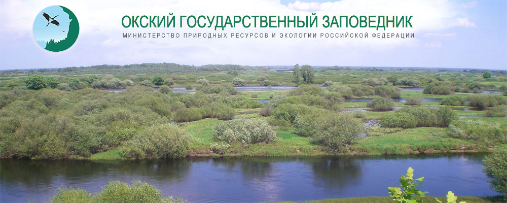 Окский биосферный заповедник реферат 5927